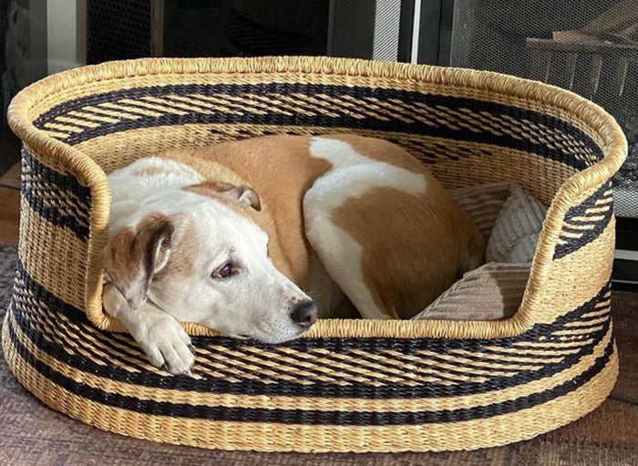 Handwoven Dog Bed | African Basket