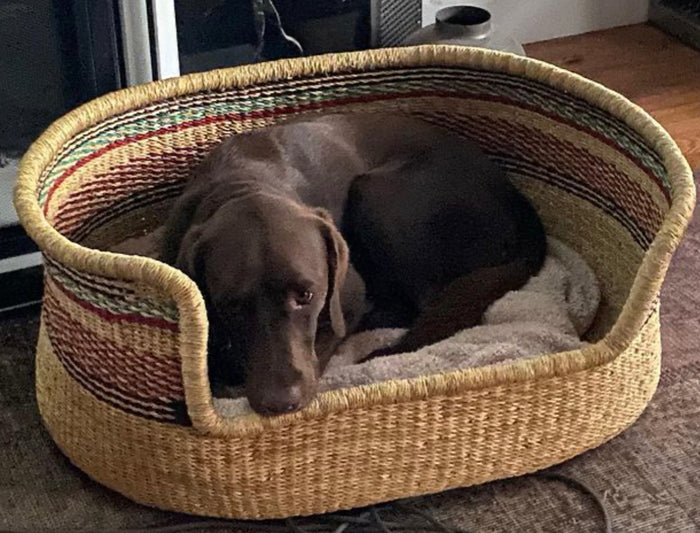 Handwoven Dog Bed | African Basket